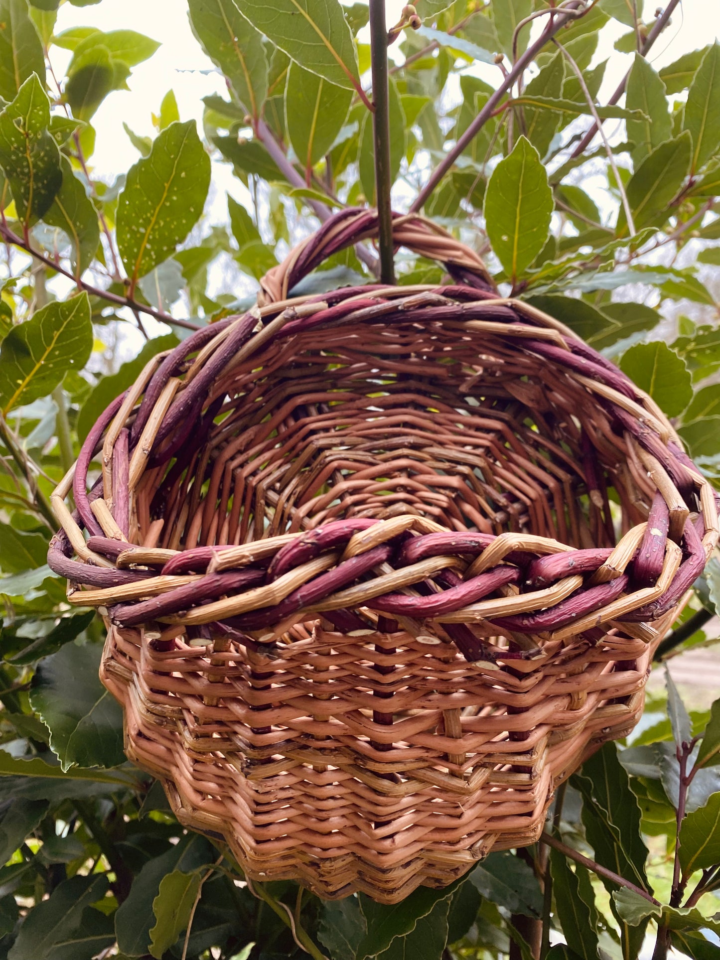 Little Wall Hanging Basket