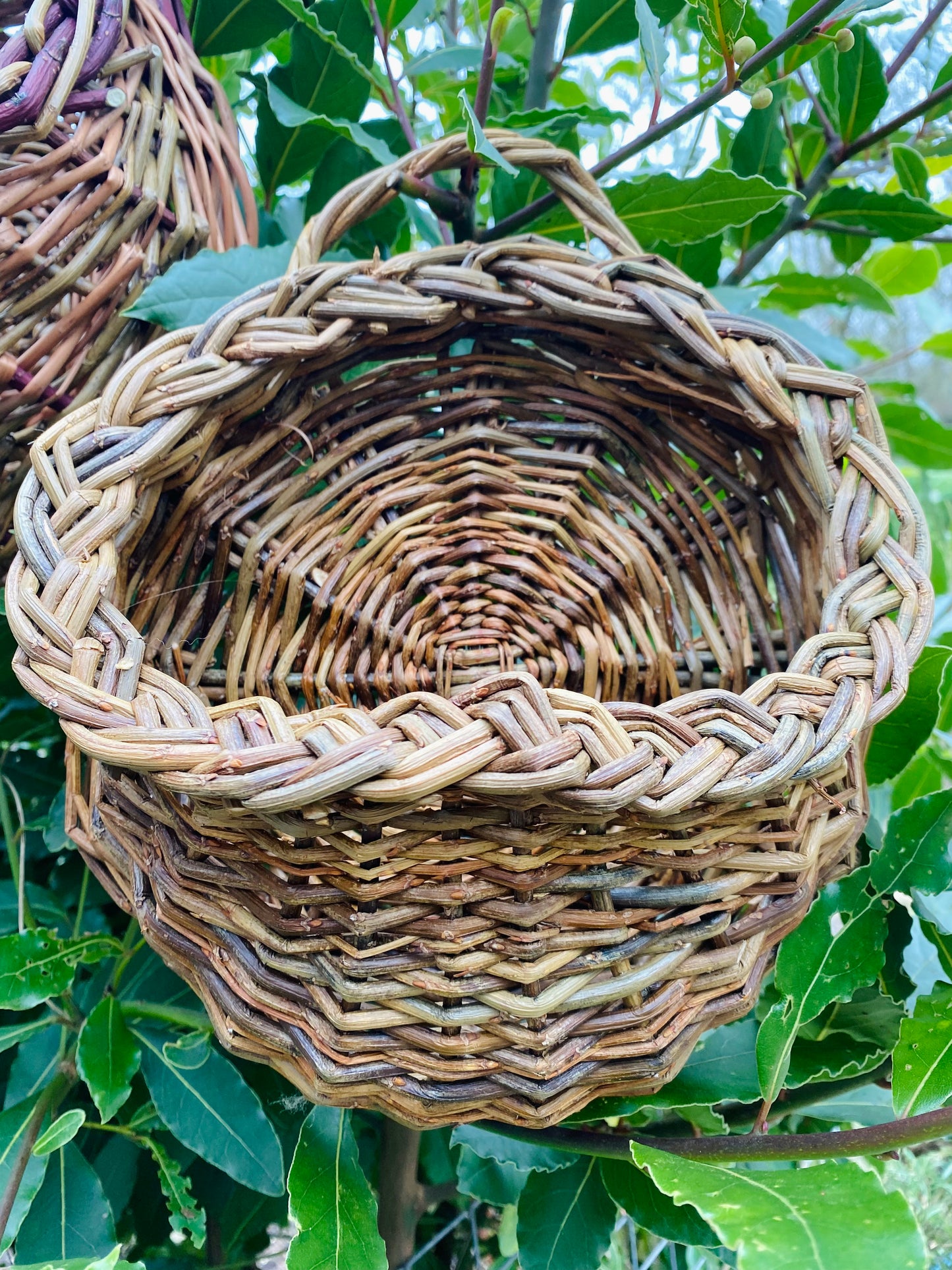 Little Wall Hanging Basket