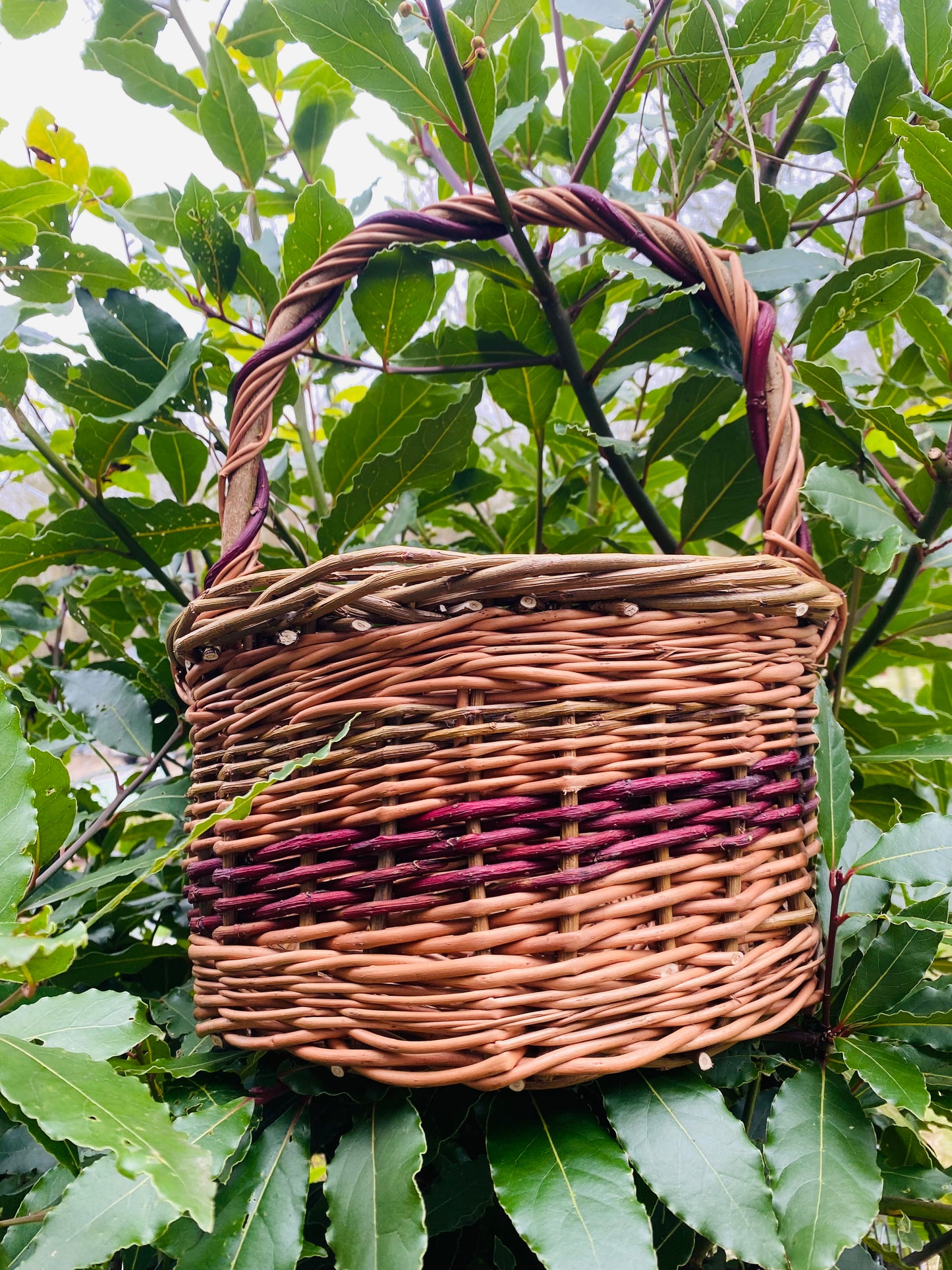 Medium Gathering Basket