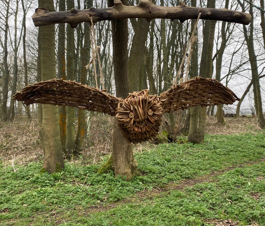 Flying Owl