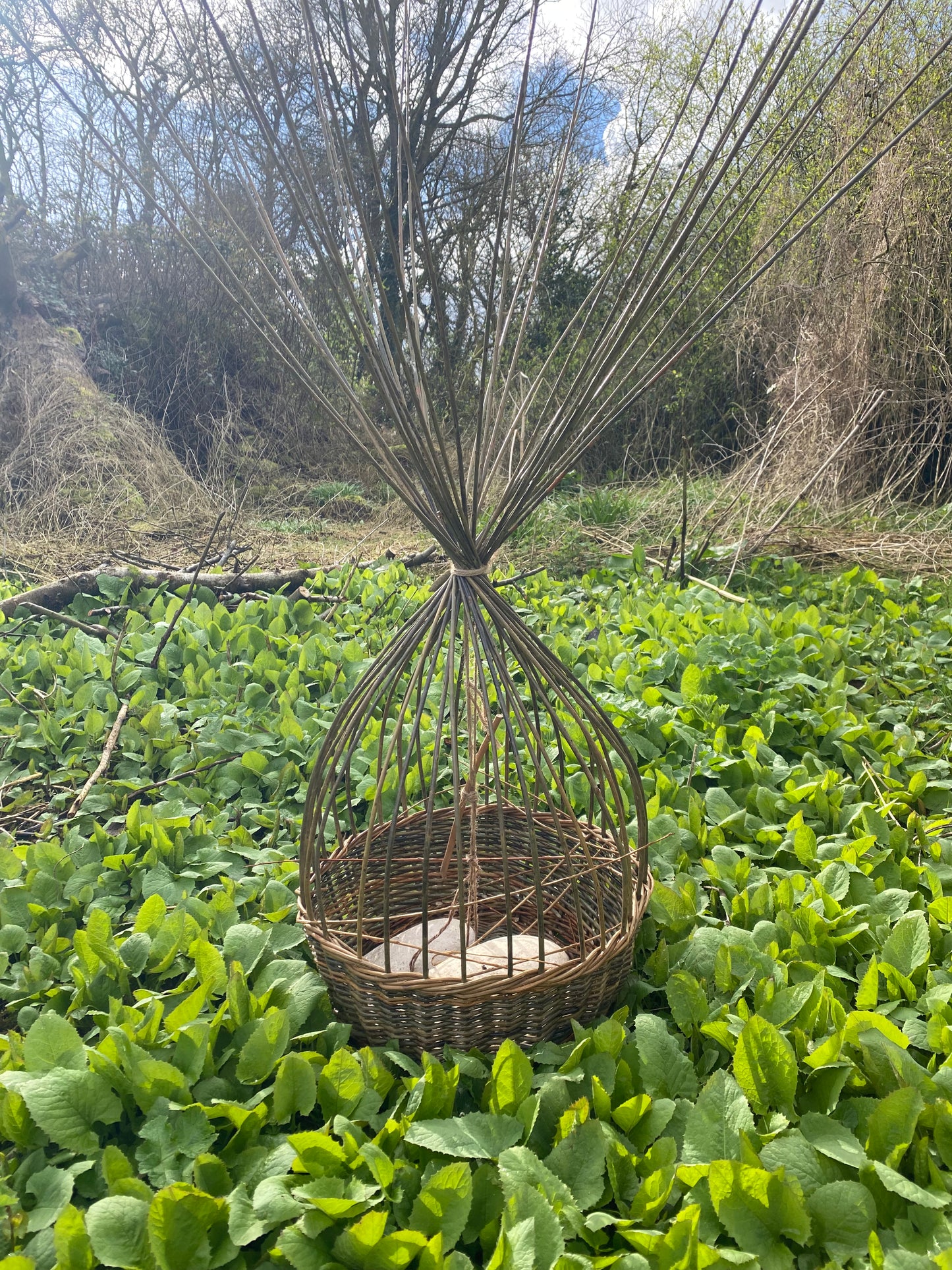 8 Hour Basketry Workshop